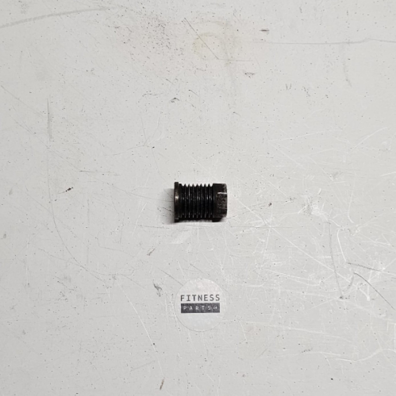 Riemenscheibe für Schwungradachse Technogym Bike D42 - Recline D46 Excite Classic 500, 700 und Forma