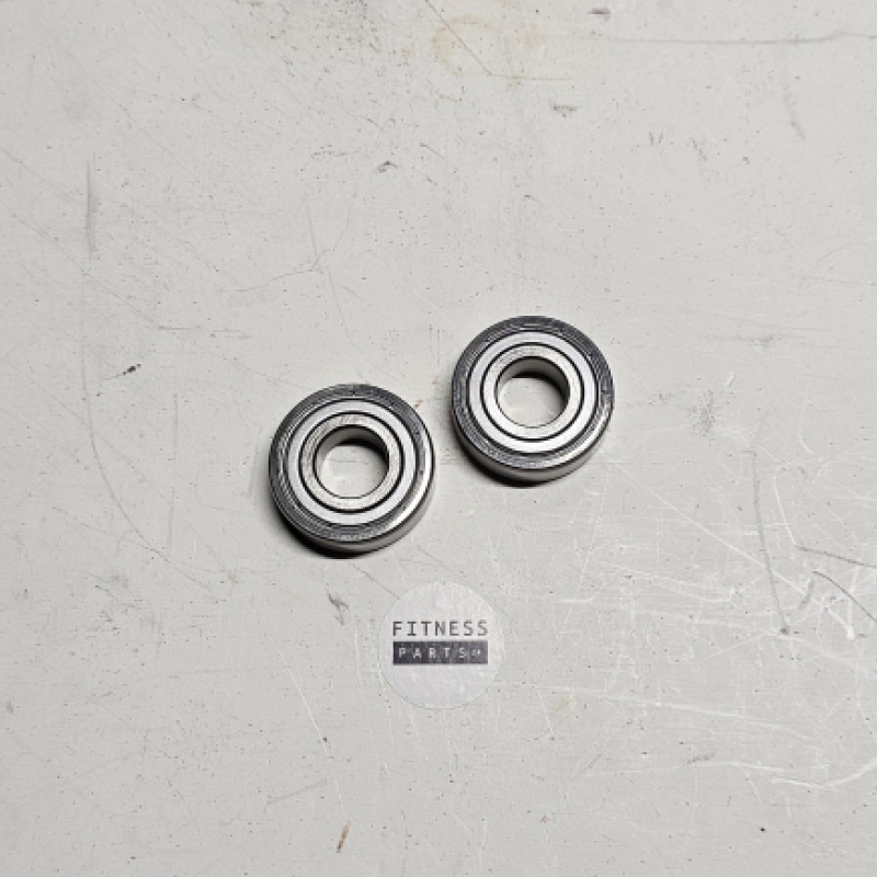 Bearingset for flywheelshaft Technogym Bike D42 Excite Classic 500, 700 and Forma