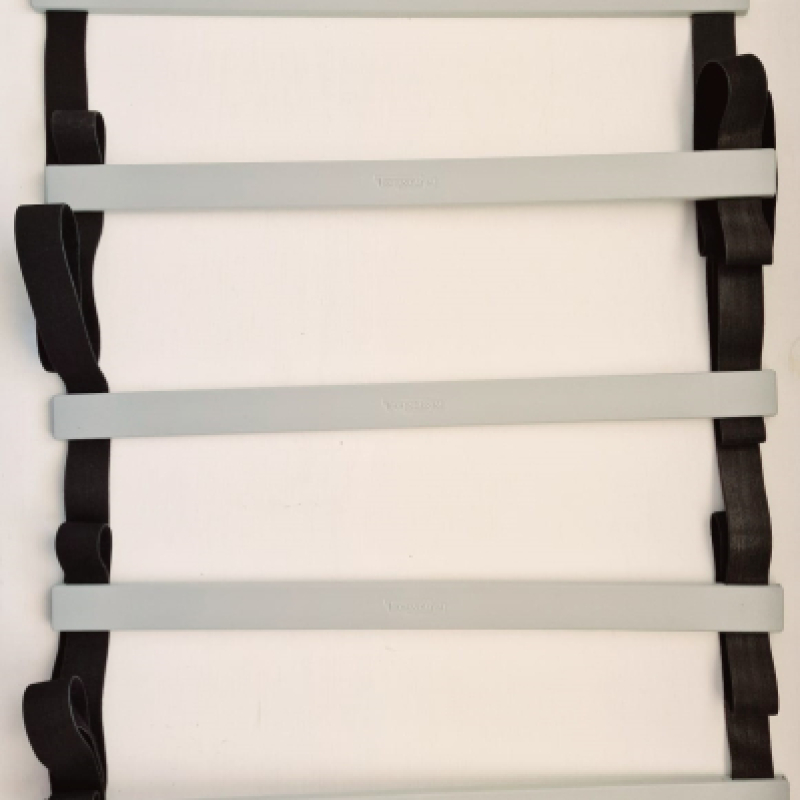 Technogym Speedladder