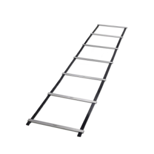 Technogym Speedladder